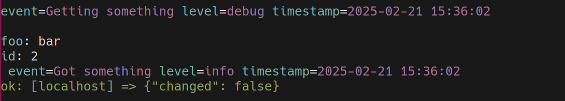 _images/ansible_log_vv.png